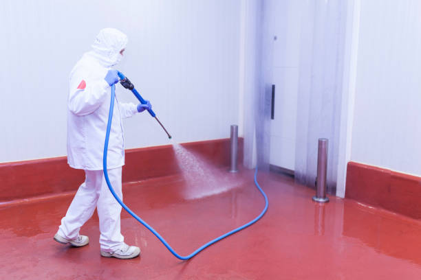 Best Restaurant Pressure Washing  in Peru, IL